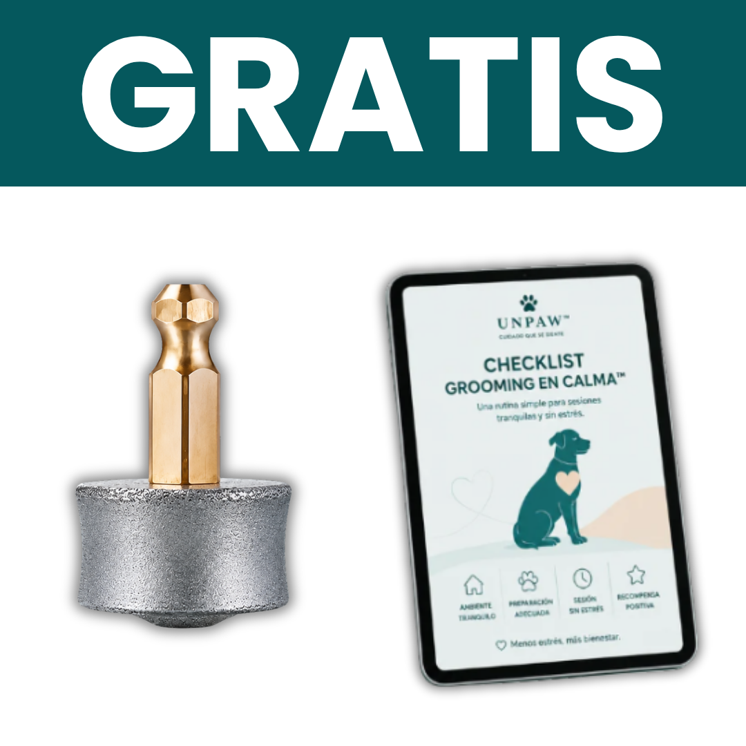 Regalos Incluidos