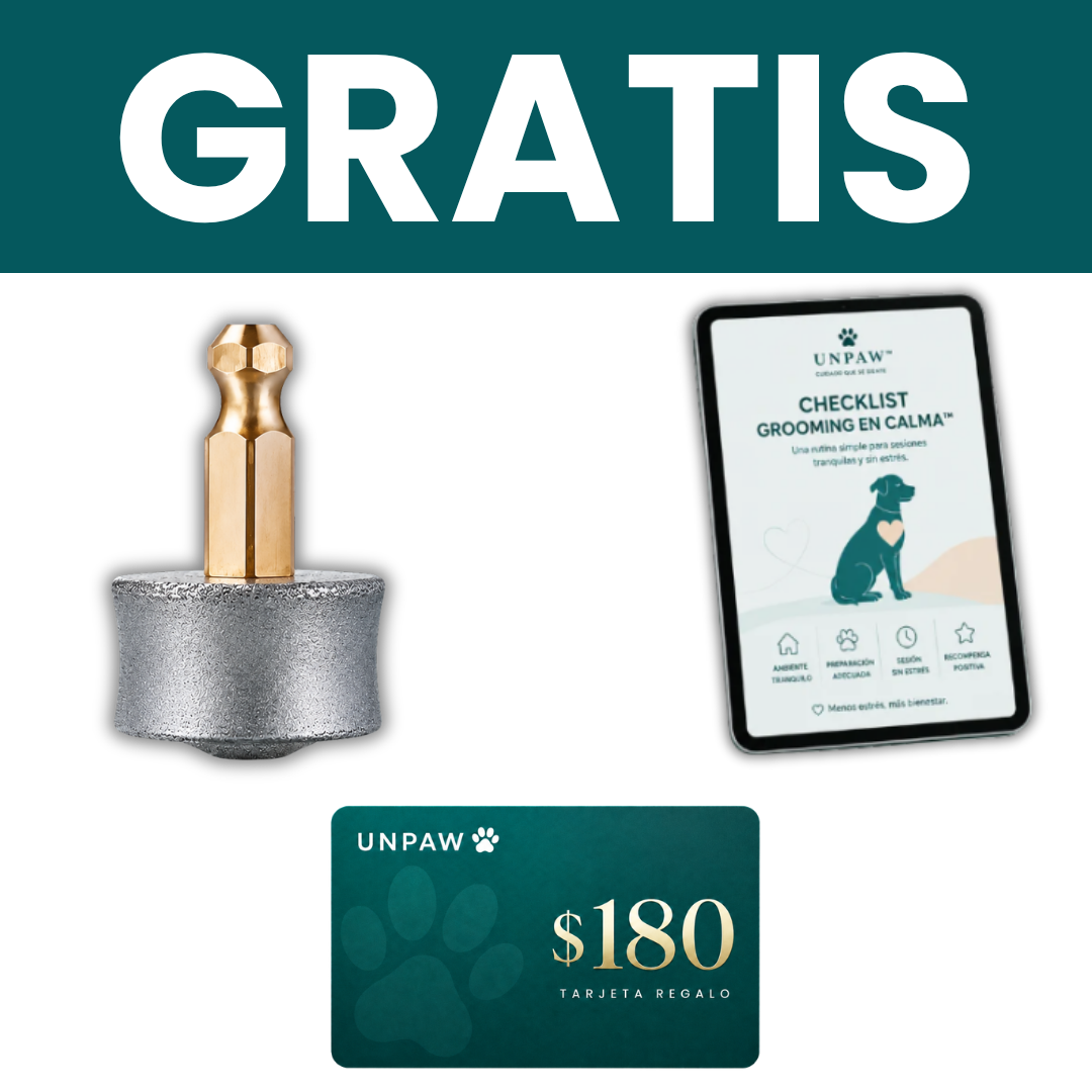 + REGALOS GRATIS