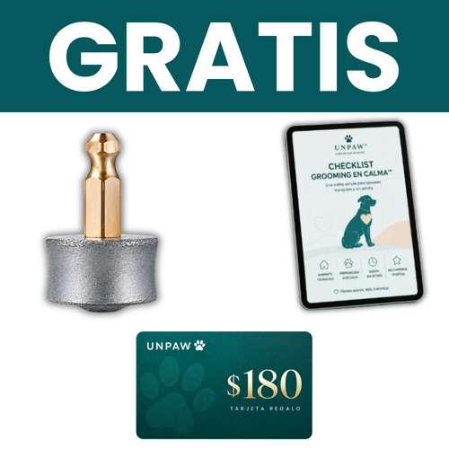 Regalos Incluidos